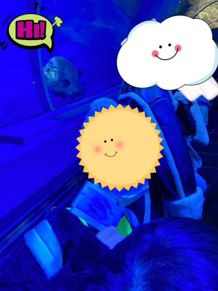 1月29日(日)toiro大津☆お出かけイベント☆ a427667cbd64c222709b06ac90e35931 3 768x1024 - 1月29日(日)toiro大津☆お出かけイベント☆