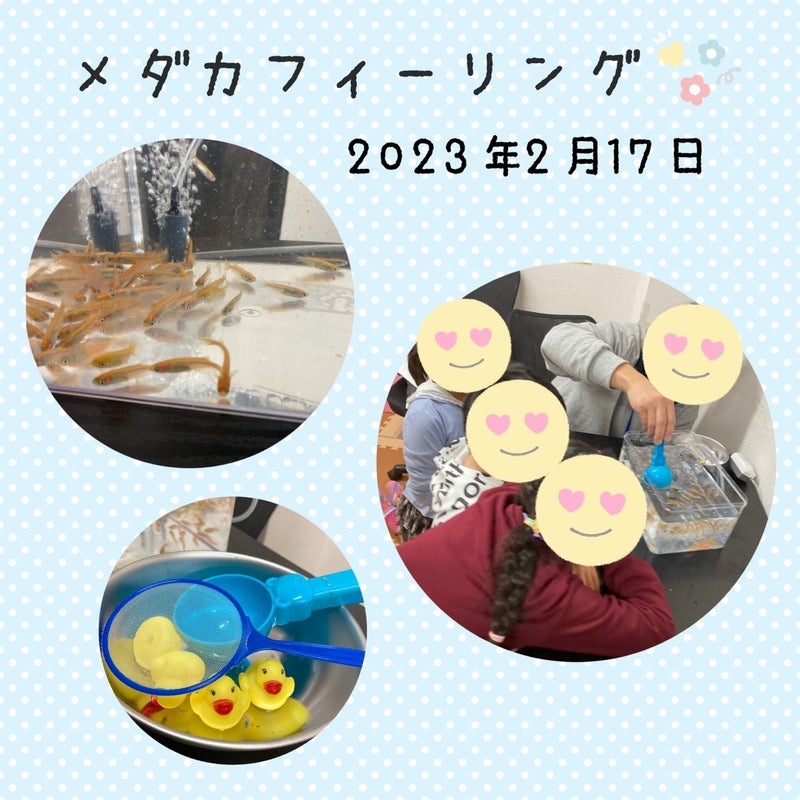 52080f801cf1ef9d10a6e55a36133131 3 - ☆2月17日（金）toiro日野☆
