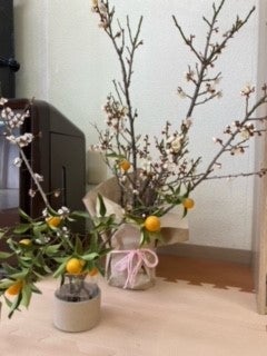 2月14日(火) ☆toiro伊勢原☆節分・立春 6c769e185f980e16fd9f669bae7c4628 1 - 2月14日(火) ☆toiro伊勢原☆節分・立春