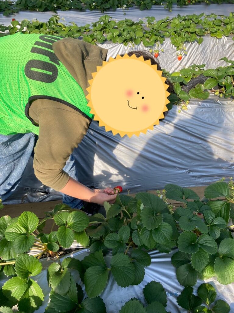 2月5日(日)toiro大津☆いちご狩り a427667cbd64c222709b06ac90e35931 768x1024 - 2月5日(日)toiro大津☆いちご狩り