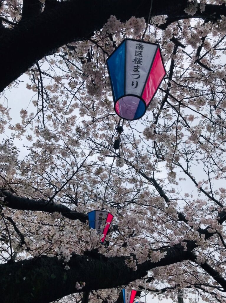 3月25日(土)☆toiro蒔田☆お花見 mai 766x1024 - 3月25日(土)☆toiro蒔田☆お花見