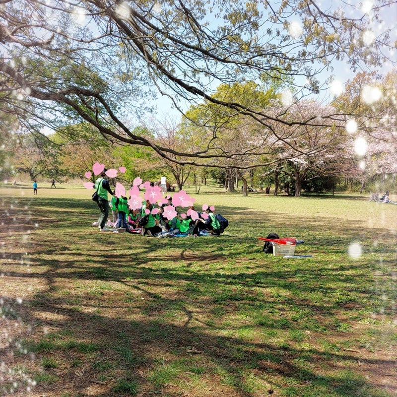 ☆toiro向ヶ丘遊園☆4月4日(火)【公園でお花見】 muko - ☆toiro向ヶ丘遊園☆4月4日(火)【公園でお花見】