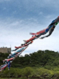 5月14日 ★toiro伊勢原★鯉のぼりを見に行こう t 16 - 5月14日 ★toiro伊勢原★鯉のぼりを見に行こう