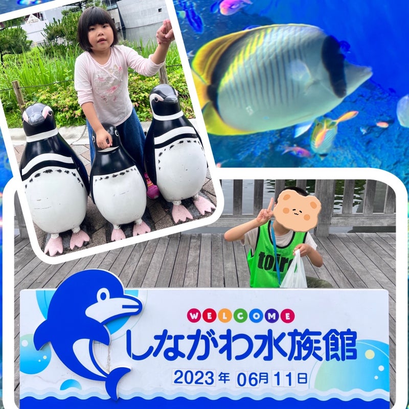 t 150 - ☆ 6月11日(日) toiro二俣川 vol.95 ☆