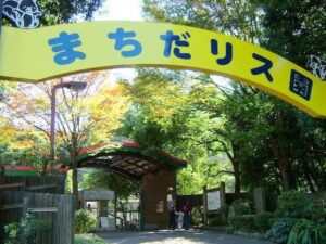t 163 300x225 - 2023/7/21☆toiro百合ヶ丘☆町田リス園☆