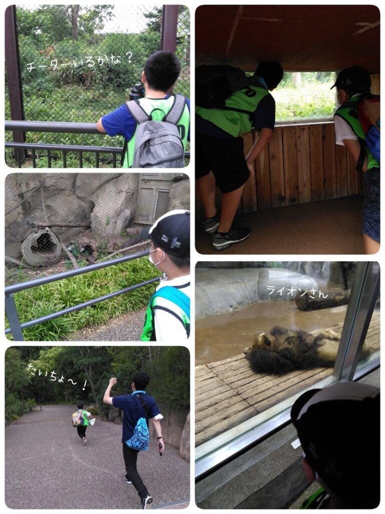 ♪toiro白楽♪【ズーラシア】2023年07月27日(木) t 215 768x1024 - ♪toiro白楽♪【ズーラシア】2023年07月27日(木)