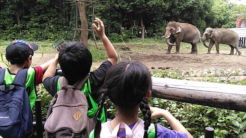 ♫7月7日 toiro鴨居 よこはま動物園ズーラシア♫ t 40 - ♫7月7日 toiro鴨居 よこはま動物園ズーラシア♫