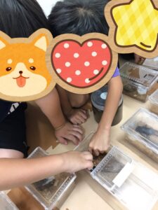 t 13 225x300 - toiro都筑ふれあいの丘★カブトムシたちとのふれあい★