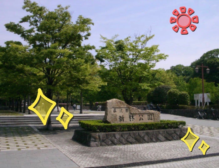 ☆toiro大船 9月17日(日) 新林公園 t 173 - ☆toiro大船 9月17日(日) 新林公園