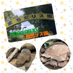 t 94 300x300 - ☆9月10日（土）toiro日野☆