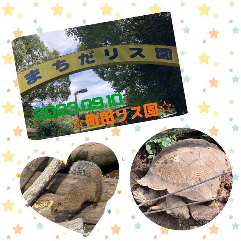 ☆9月10日(土)toiro日野☆ t 94 - ☆9月10日(土)toiro日野☆