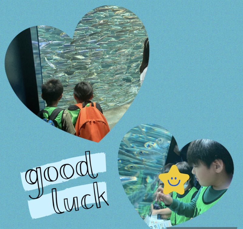 サンシャイン水族館★toiro仲町台★ t 27 - サンシャイン水族館★toiro仲町台★