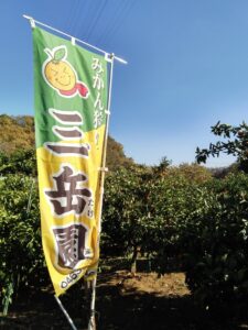 t 20 225x300 - 12月6日（水）　☆toiro本厚木☆