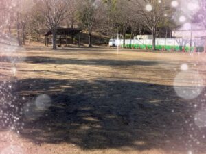 t 102 300x225 - ⭐︎toiro大船　2月10日（土）舞岡公園⭐︎