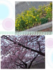 t 258 225x300 - 2月28日(水) toiro三浦海岸 ❀公園遊び❀