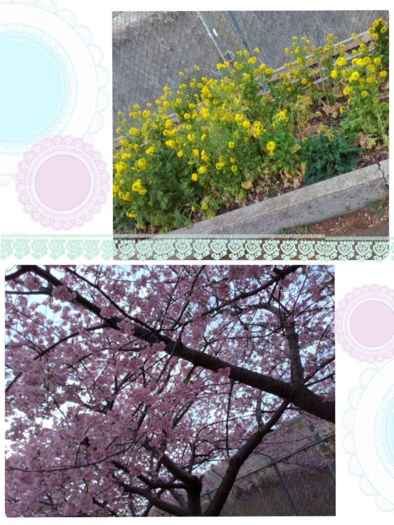2月28日(水) toiro三浦海岸 ❀公園遊び❀ t 258 768x1024 - 2月28日(水) toiro三浦海岸 ❀公園遊び❀
