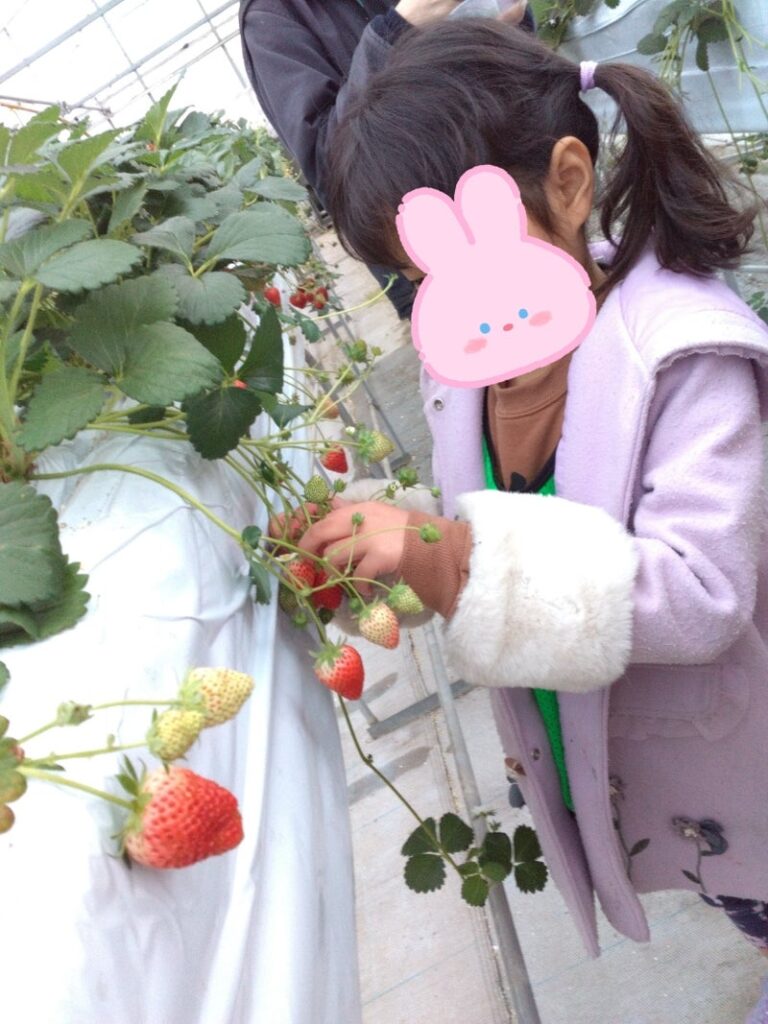 【toiro宮前平】2/28(水)いちご狩りへ行こう★ t 261 768x1024 - 【toiro宮前平】2/28(水)いちご狩りへ行こう★