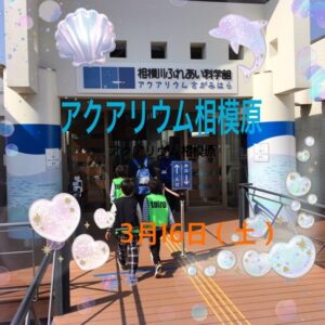 t 197 300x300 - 3月16日（土）☆アクアリウム相模原☆
