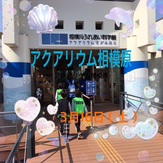 3月16日(土)☆アクアリウム相模原☆ t 197 - 3月16日(土)☆アクアリウム相模原☆