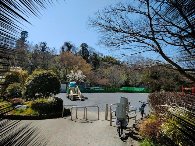t 226 - ☆toiro大船3月20日(水) 上郷六反町公園☆