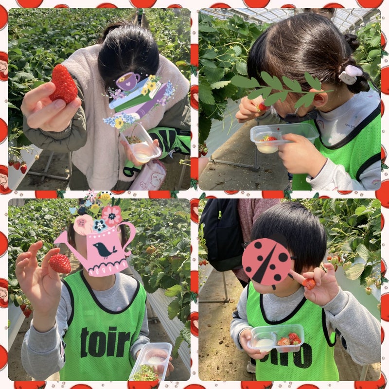 2024年3月27日 toiro平塚 ☆いちご狩り☆ t 249 - 2024年3月27日 toiro平塚 ☆いちご狩り☆