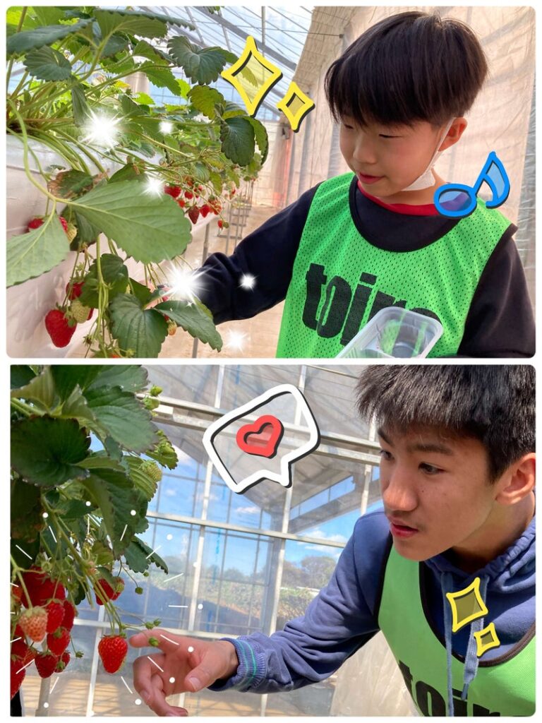 いちご狩り へ行こう!★toiro仲町台★ t 99 768x1024 - いちご狩り へ行こう!★toiro仲町台★