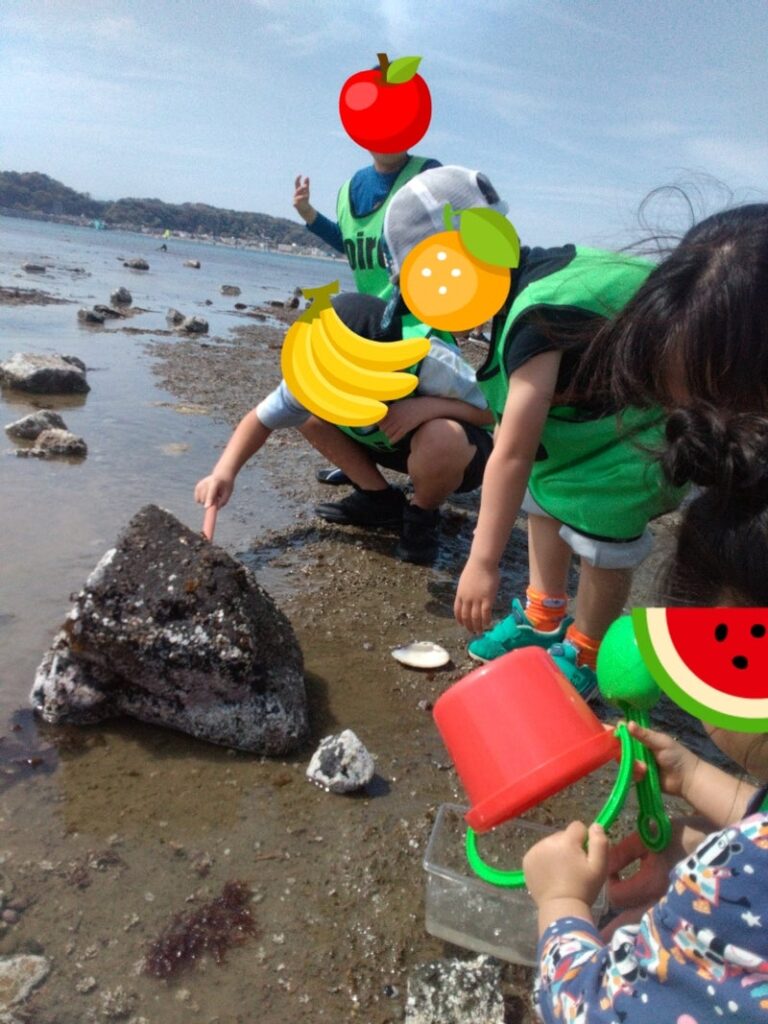 4月13日(土)磯遊び toiro逗子 t 115 768x1024 - 4月13日(土)磯遊び toiro逗子