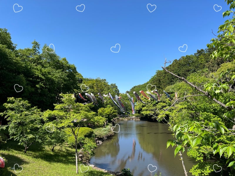 t 9 - ☆toiro大船 5月3日（金）鎌倉中央公園☆
