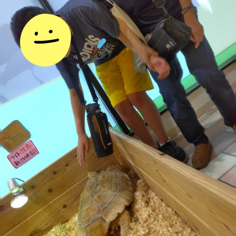 t 4 - toiro二宮　７月28日（日）OSC湘南シティふれあい探索隊
