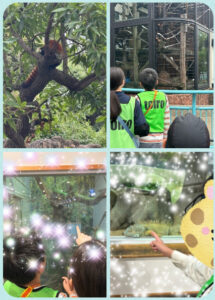 d6e32568045e2da40fff38c0343994f6 215x300 - toiro天王町 2024/10/26 野毛山動物園