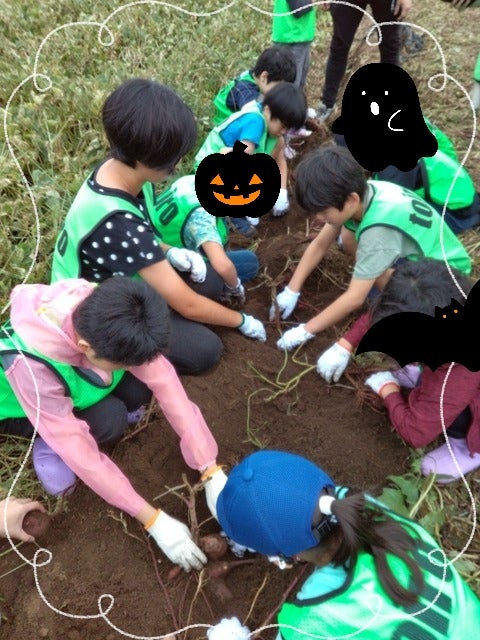 ☆10月6日(日)toiro天王町☆【お芋掘りに行こう!】 t 70 - ☆10月6日(日)toiro天王町☆【お芋掘りに行こう!】