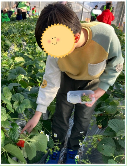 1月26日(日) toiro 大津 ⭐️いちご狩り⭐️ 2e5d21145e46710e07372784636ac13f - 1月26日(日) toiro 大津 ⭐️いちご狩り⭐️