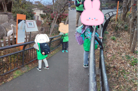 1月27日 トイロ逗子☆動物園へ行こう f3aedda2f915c9c7357aaf202b3f2f96 - 1月27日 トイロ逗子☆動物園へ行こう