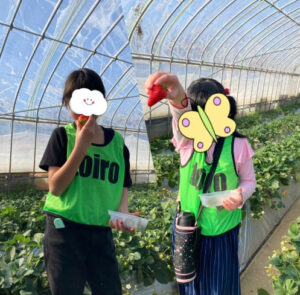 5a39d48fcd4ec0095a8f837aa5b03e9e 300x295 - 2025年2月9日(日)☆いちご狩り☆