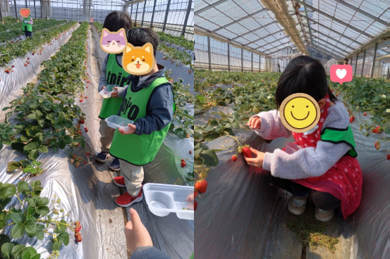 3月9日toiro逗子☆いちご狩り 7550be677edd6883d687efb5b2d5c2c6 - 3月9日toiro逗子☆いちご狩り