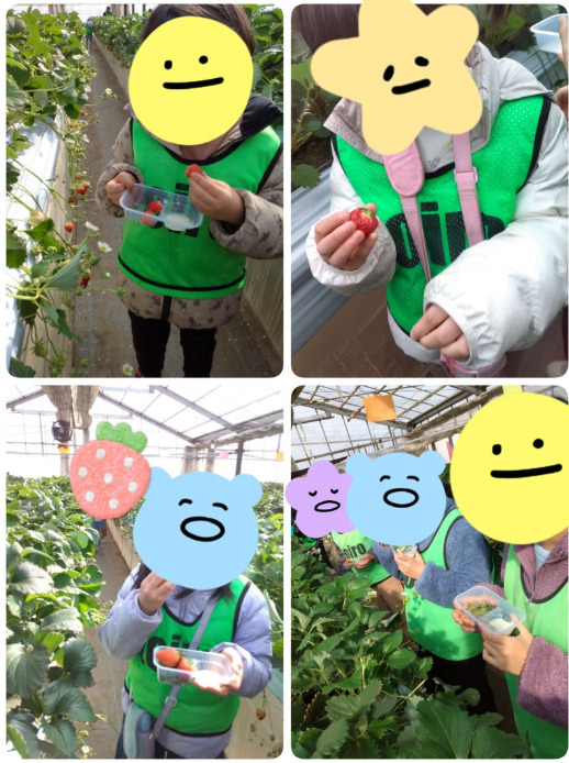 3月8日(土)★toiro根岸★ いちご狩りに行こう! b276baf6da8441350ea1b509c35961d8 - 3月8日(土)★toiro根岸★ いちご狩りに行こう!