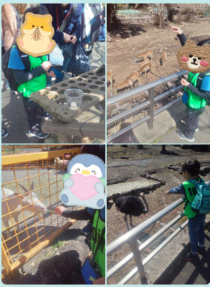 c87dc38c573b47c5b23577da20004d36 - ☆３月２０日☆♨toiro湯河原♨「アニマルキングダム」