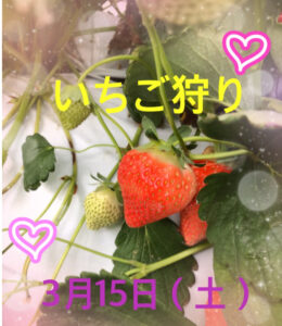 3a1d434a751aa561d349878d07517de7 260x300 - 3月15日（土）トイロ秦野☆いちご狩り☆