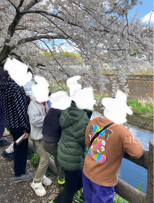 f16fe1c074251ee8009c717b194d9293 - 4月4日(金)toiroかしわ台第一教室★桜満開の目久尻川お散歩★