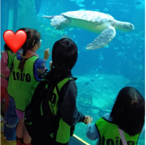 081331c189ae75d12748bbdcd08986a2 300x298 - toiro小田原☆箱根園水族館