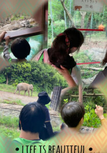 38d5cb41afc16d40cc51370b4edde9d1 210x300 - 5月25日(日)　トイロ大津　☆「動物園に行こう」☆