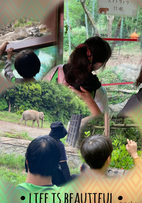 5月25日(日) トイロ大津 ☆「動物園に行こう」☆ 38d5cb41afc16d40cc51370b4edde9d1 - 5月25日(日) トイロ大津 ☆「動物園に行こう」☆