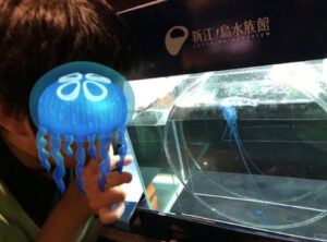7b0747d2521c8281dd8d0ba788800bcd 300x222 - ♪6月22日(日)♪トイロ戸塚