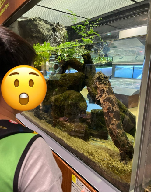◎ 8月4日(月·祝)トイロ東戸塚◎ 相模川ふれあい科学館 89f5a937e11b34e75e1d0be456818490 - ◎ 8月4日(月·祝)トイロ東戸塚◎ 相模川ふれあい科学館