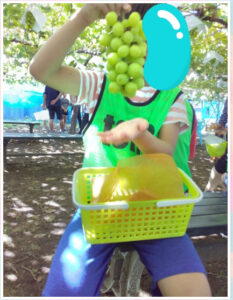 509fb1f05e81bb6f2f1607f8b67b19f1 233x300 - ☆トイロ辻堂☆９月7日【ぶどう狩り】