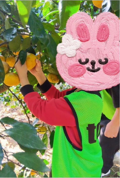 11月15日(土) ミカン狩り toiro本厚木 33c7b9c646e3e9407437609539621bd8 - 11月15日(土) ミカン狩り toiro本厚木