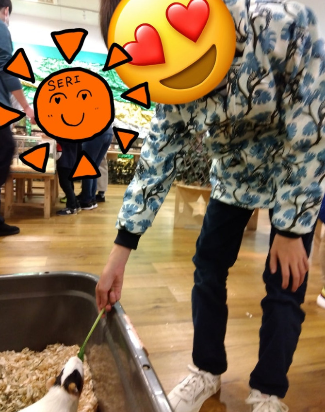 ☆トイロ辻堂☆11月7日【いきもの探検隊】 4e2f8a677ea24dd45cf0a84c10036188 - ☆トイロ辻堂☆11月7日【いきもの探検隊】
