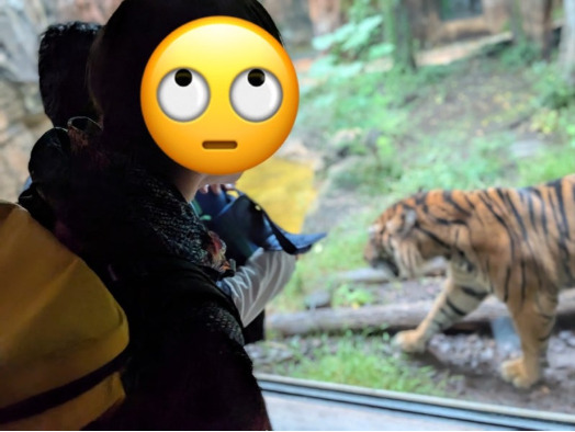 ☆10月26日(日) toiro藤沢 第2 上野動物園☆ 79208d9488320744beb9b1099629371d - ☆10月26日(日) toiro藤沢 第2 上野動物園☆