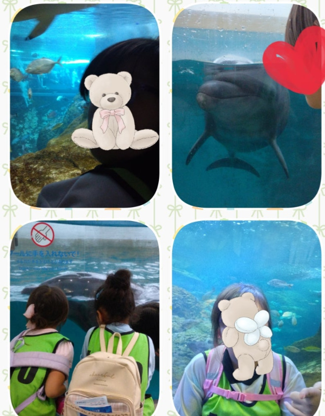 e24f0b7294784c7e7c5096c5db4a83a0 - 10月4日（土）⭐️トイロ野比⭐️江の島水族館へ行こう‼️