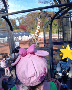 e6d6a26cf3b682e06ccd0e3a6b905bd0 238x300 - 【トイロ柿生】多摩動物公園11月24日